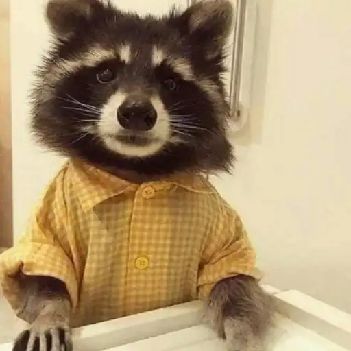 Енотики preview