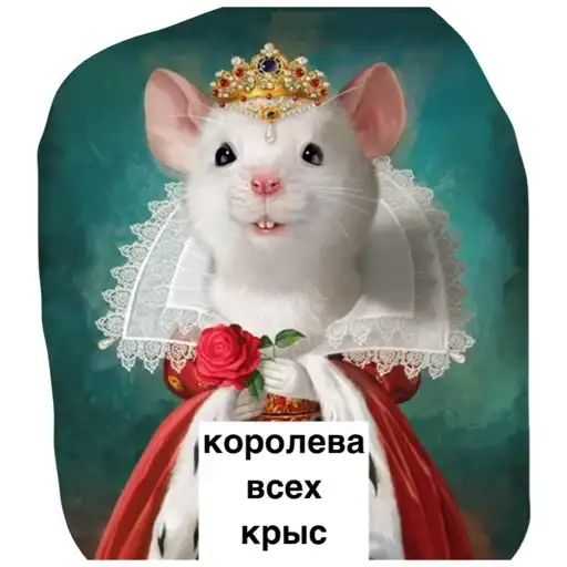 Крысиноэ preview