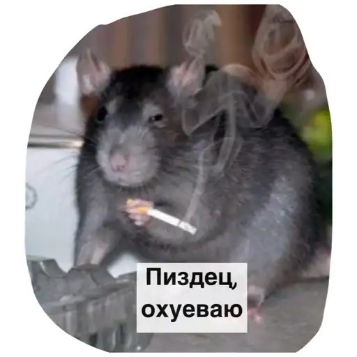 Sticker 🤦‍♀️