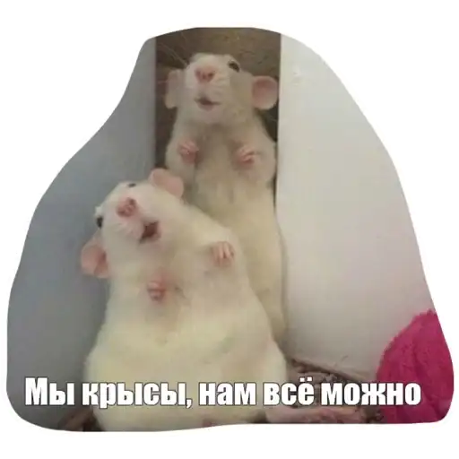 Крысиноэ preview