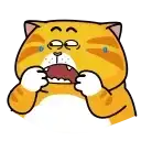 Рыжий кот preview