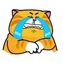 Рыжий кот preview