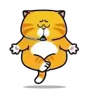 Рыжий кот preview