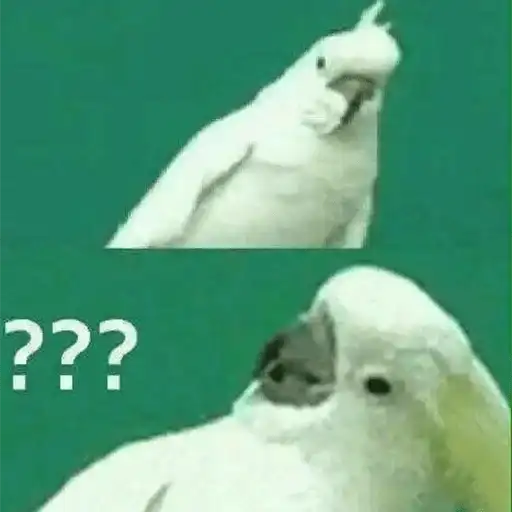 Злой Попугай preview