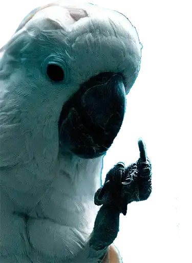 Злой Попугай preview