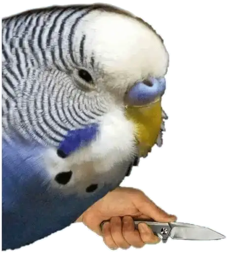 Злой Попугай preview