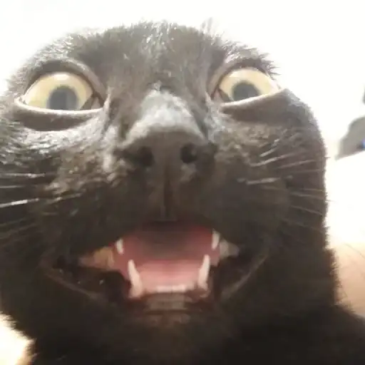 Манюни preview