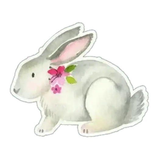 Sticker 🐰