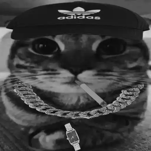 Izzy's Corporation preview