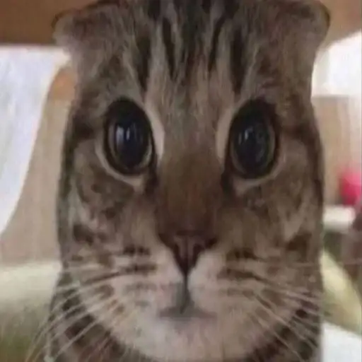 Izzy's Corporation preview