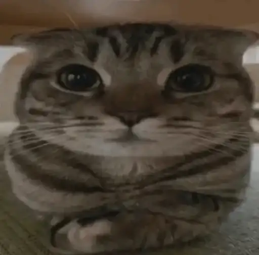 Izzy's Corporation preview