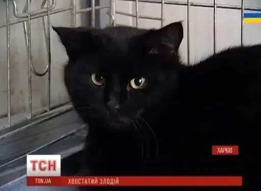 Sticker 🦹‍♂️