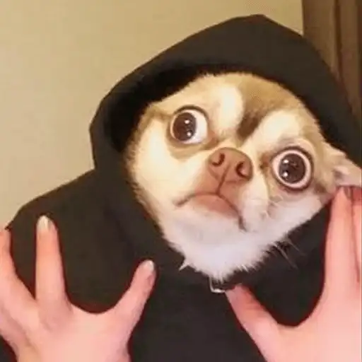 Meme bro by Ai preview