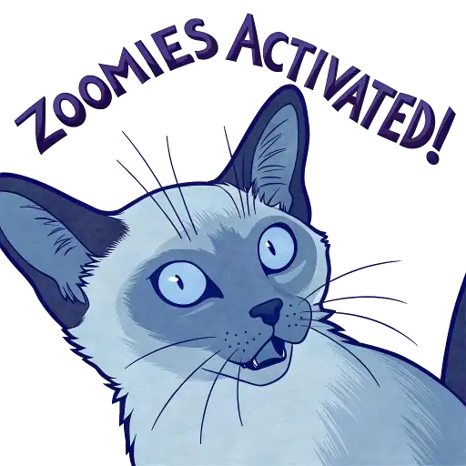 Luna the Oriental Cat preview