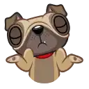 Sticker 🤷‍♂️