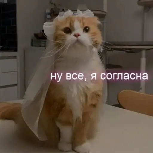 Sticker 👰‍♀️