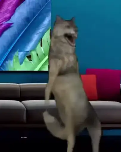 Волк ихвильнихт preview