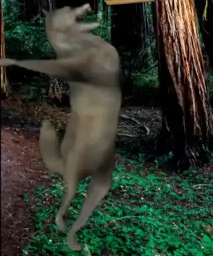 Волк ихвильнихт preview