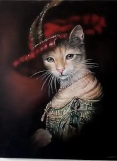 Mr Mrs Miss Queen King preview