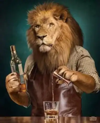 Mr Mrs Miss Queen King preview