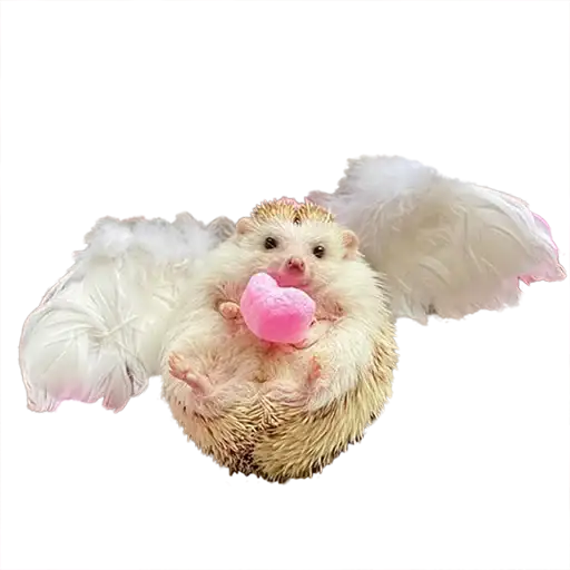 hedgehogs Beauty Stickers preview