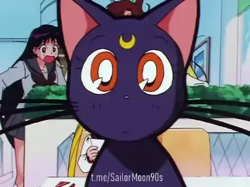 😻Luna & Artemis😸 preview