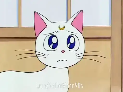 😻Luna & Artemis😸 preview