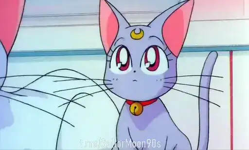 😻Luna & Artemis😸 preview