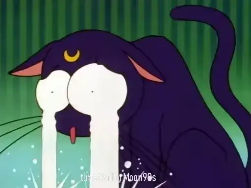 😻Luna & Artemis😸 preview