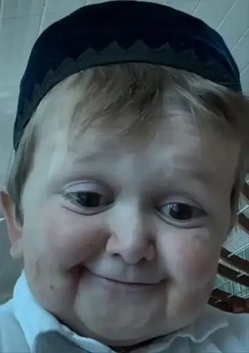 Хасбик жи ес да preview