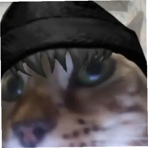 Бухой Зайчик preview