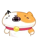 Кот Амур preview