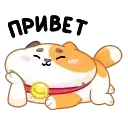 Кот Амур preview