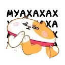 Кот Амур preview