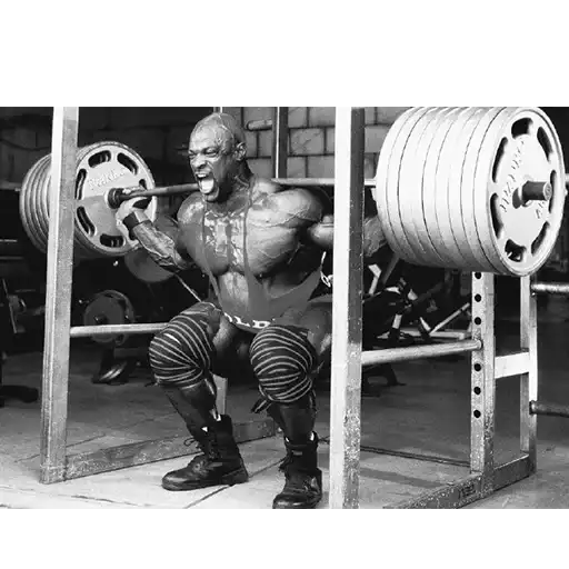 Light Weight Baby preview