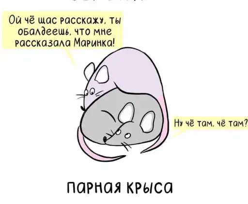 МышаКрыс preview