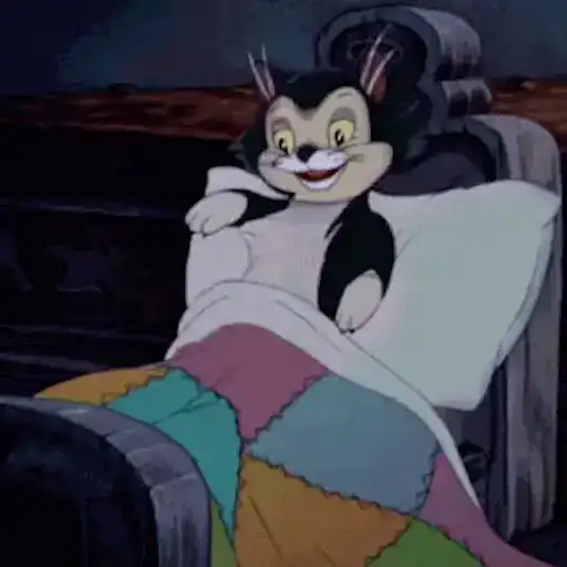 Kis-kis-meow preview