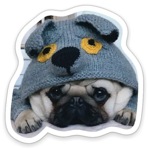 Sad_pug_leonid preview
