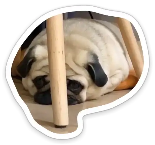 Sad_pug_leonid preview