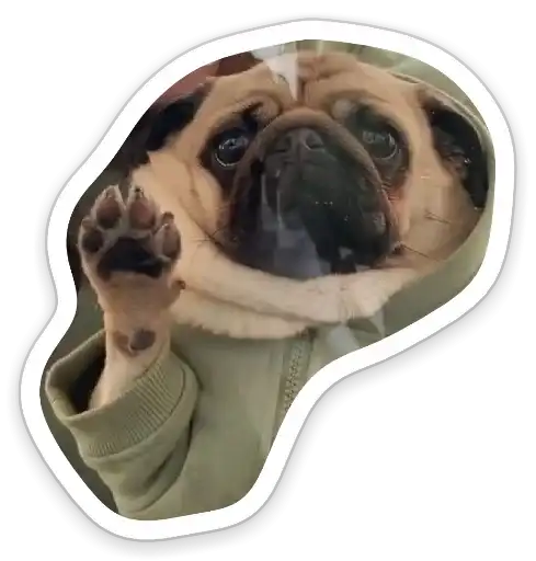 Sad_pug_leonid preview