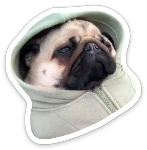 Sad_pug_leonid preview