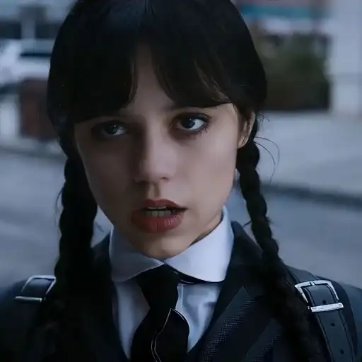 Sticker 🐈‍⬛️