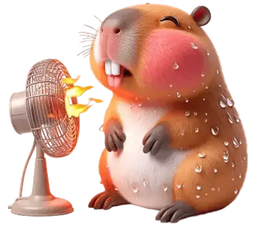 Kapi Capybara preview