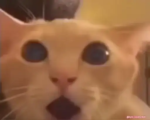 ☠️UwU☠️ preview