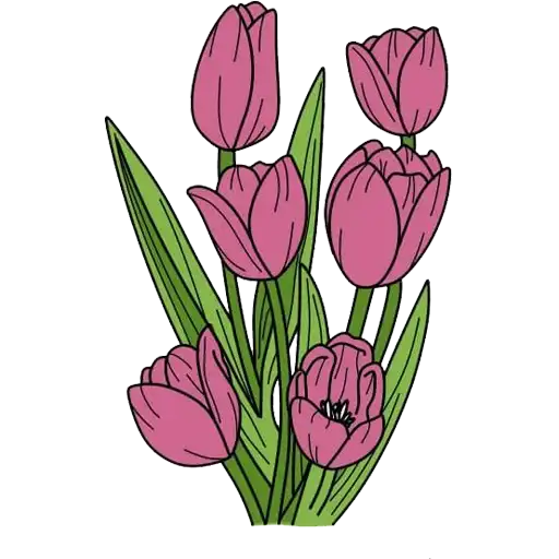 Tulips preview