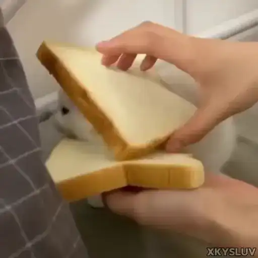 Sticker 🥪