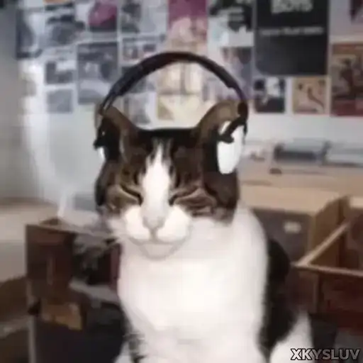 Sticker 🎧