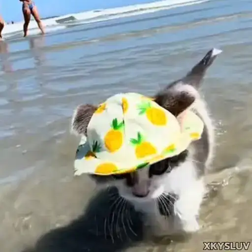 Sticker 🏖️
