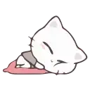 Vanilla and Pepper Cat preview