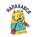 Котики «Сільпо» Silpo Spring Cats preview